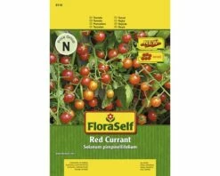 FLORASELF® Tomaten Red Currant