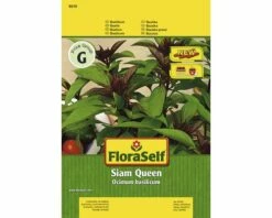 FLORASELF® Basilicum Siam Queen