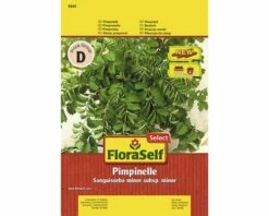 FLORASELF® Bevernel Meerjarig