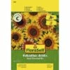 FLORASELF® Zonnebloem Kleinbloemig -FLORASELF Verkoop DV 8 6568255 03 4c DE 20180111185022