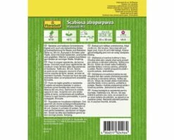 FLORASELF® Scabiosa Mix -FLORASELF Verkoop DV 8 6568263 04 4c AT 20220214161656
