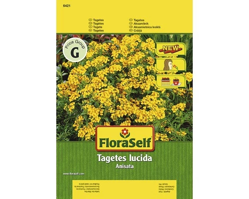 FLORASELF® Lucica Anisata 3 FLORASELF® Lucica Anisata