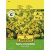 FLORASELF® Afrikaantje Geel -FLORASELF Verkoop DV 8 6568267 04 4c AT 20220208171652