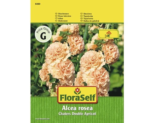 FLORASELF® Abrikoos Alcea 3 FLORASELF® Abrikoos Alcea