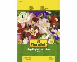 FLORASELF® Aquilegia Cearulea Mix