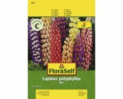 FLORASELF® Lupinus Polyphillus Mix