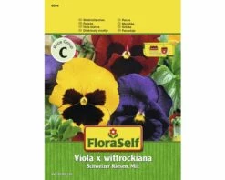 FLORASELF® Viool Zwarte Mix