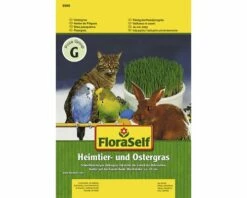 FLORASELF® Kattengras