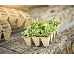FLORASELF® Turfpotten 4x4 Cm 48st 10 FLORASELF® Turfpotten 4x4 Cm 48st -FLORASELF Verkoop DV 8 6623219 03 4c AT 20180308205446