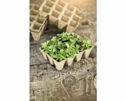 FLORASELF® Turfpotten 4x4 Cm 48st 11 FLORASELF® Turfpotten 4x4 Cm 48st -FLORASELF Verkoop DV 8 6623219 04 4c AT 20181128171655