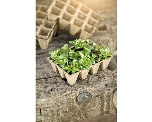 FLORASELF® Turfpotten 4x4 Cm 48st 7 FLORASELF® Turfpotten 4x4 Cm 48st - Afbeelding 5