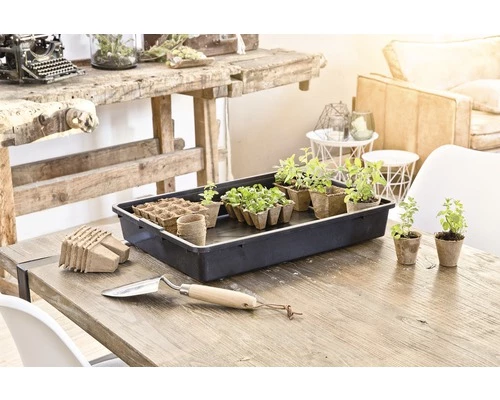 FloraSelf Multifunctionele Kweekschaal 4 FloraSelf Multifunctionele Kweekschaal - Afbeelding 2