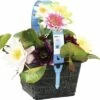 FLORASELF® Waterlelie Nymphaea Mix Trio Geel Potmaat Ø 18 Cm -FLORASELF Verkoop DV 8 6648127 01 4c DE 20220228134656