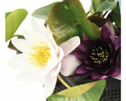 FLORASELF® Waterlelie Nymphaea Mix Trio Geel Potmaat Ø 18 Cm -FLORASELF Verkoop DV 8 6648127 02 4c RO 20220228154658