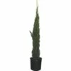 FLORASELF Cypres Cupressus Sempervirens 'Totem' Potmaat Ø 30.5 Cm H 125-150 Cm -FLORASELF Verkoop DV 8 6858262 01 4c DE 20200310141039