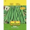 FLORASELF® Stambonen Negra Groentezaden -FLORASELF Verkoop DV 8 7120875 01 4c AT 20190410152635