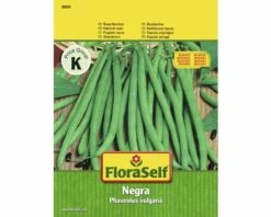 FLORASELF® Stambonen Negra Groentezaden