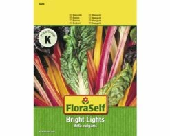 FLORASELF® Mangold Bright Lights Groentezaden