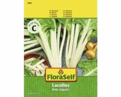 FLORASELF® Mangold Lucullus Groentezaden