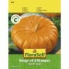 FLORASELF® Pompoen Rouge Vif D'Etampes Groentezaden 2 FLORASELF® Pompoen Rouge Vif D'Etampes Groentezaden -FLORASELF Verkoop DV 8 7120917 01 4c AT 20221213154651
