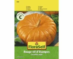 FLORASELF® Pompoen Rouge Vif D'Etampes Groentezaden