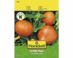 FLORASELF® Pompoen Uchiki Kuri Groentezaden