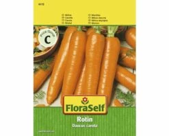 FLORASELF® Wortelen Rotin Groentezaden