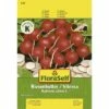 FLORASELF® Radijs Riesenbutter Zaadband Groentezaden -FLORASELF Verkoop DV 8 7120949 01 4c AT 20230104141756