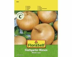 FLORASELF® Uien Stuttgarter Riesen Groentezaden