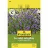 FLORASELF® Lavendel Meerjarig Kruidenzaden -FLORASELF Verkoop DV 8 7120971 01 4c AT 20230104141756