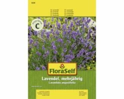 FLORASELF® Lavendel Meerjarig Kruidenzaden