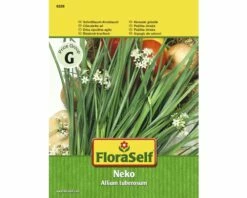 FLORASELF® Bieslook Neko Kruidenzaden