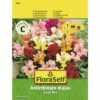 FLORASELF® Leeuwenbek Mix Van Dwergbloemen Antirrhinum Majus Bloemenzaden 2 FLORASELF® Leeuwenbek Mix Van Dwergbloemen Antirrhinum Majus Bloemenzaden -FLORASELF Verkoop DV 8 7122878 01 4c AT 20190417092934