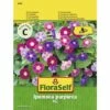FLORASELF® Pronkwinde Mix Ipomoea Purpurea Bloemenzaden -FLORASELF Verkoop DV 8 7122920 01 4c AT 20190410155449