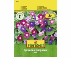 FLORASELF® Pronkwinde Mix Ipomoea Purpurea Bloemenzaden
