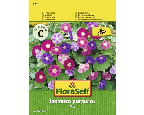 FLORASELF® Pronkwinde Mix Ipomoea Purpurea Bloemenzaden 3 FLORASELF® Pronkwinde Mix Ipomoea Purpurea Bloemenzaden
