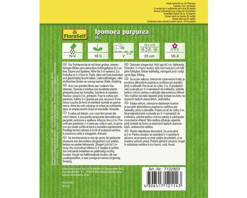 FLORASELF® Pronkwinde Mix Ipomoea Purpurea Bloemenzaden 4 FLORASELF® Pronkwinde Mix Ipomoea Purpurea Bloemenzaden - Afbeelding 2
