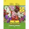 FLORASELF® Lathyrus Mix Lathyrus Odoratus Bloemenzaden -FLORASELF Verkoop DV 8 7122927 01 4c AT 20230104141756