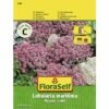 FLORASELF® Zilverschildzaad Alyssum Lobularia Maritima Bloemenzaden -FLORASELF Verkoop DV 8 7122936 01 4c AT 20230104141756