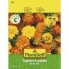 FLORASELF® Afrikaantje Bonita Mix Tagetes X Pactula Bloemenzaden -FLORASELF Verkoop DV 8 7122953 01 4c AT 20221213154651