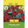 FLORASELF® Oost-Indische Kers Keizerin Victoria Tropaeolum Majus Bloemenzaden 2 FLORASELF® Oost-Indische Kers Keizerin Victoria Tropaeolum Majus Bloemenzaden -FLORASELF Verkoop DV 8 7122961 01 4c AT 20230104141756