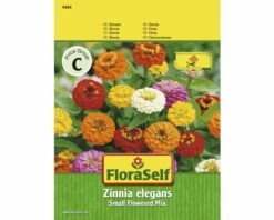 FLORASELF® Zinnia Kleine Bloem Zinnia Elegans Bloemenzaden