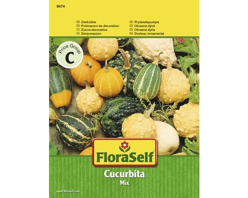 FLORASELF® Sierpompoen Cucurbita Pepo Bloemenzaden 3 FLORASELF® Sierpompoen Cucurbita Pepo Bloemenzaden