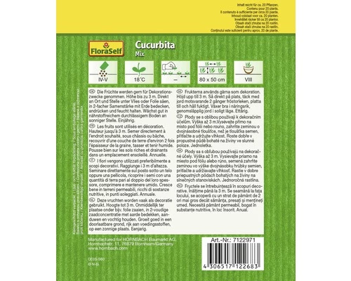 FLORASELF® Sierpompoen Cucurbita Pepo Bloemenzaden 4 FLORASELF® Sierpompoen Cucurbita Pepo Bloemenzaden - Afbeelding 2