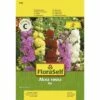 FLORASELF® Stokrozen Mix Alcea Rosea Bloemenzaden 2 FLORASELF® Stokrozen Mix Alcea Rosea Bloemenzaden -FLORASELF Verkoop DV 8 7122981 01 4c AT 20230104141756