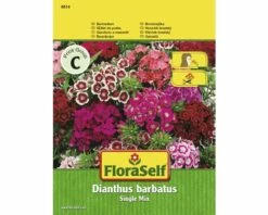 FLORASELF® Duizendschoon Single Mix Dianthus Barbatus Bloemenzaden