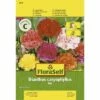 FLORASELF® Tuinanjer Gevulde Mix Dianthus Caryophyllus Bloemenzaden -FLORASELF Verkoop DV 8 7122993 01 4c AT 20180105105222