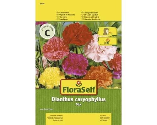 FLORASELF® Tuinanjer Gevulde Mix Dianthus Caryophyllus Bloemenzaden 3 FLORASELF® Tuinanjer Gevulde Mix Dianthus Caryophyllus Bloemenzaden