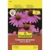 FLORASELF® Rode Zonnehoed Echinacea Purpurea Bloemenzaden -FLORASELF Verkoop DV 8 7122995 01 4c AT 20180105104125