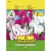 FLORASELF® Lathyrus Mengsel Lathyrus Latifolius Bloemenzaden 2 FLORASELF® Lathyrus Mengsel Lathyrus Latifolius Bloemenzaden -FLORASELF Verkoop DV 8 7122996 01 4c AT 20190410160843